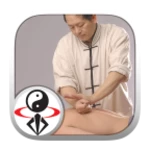 Logo of Qigong Massage for Partners android Application 