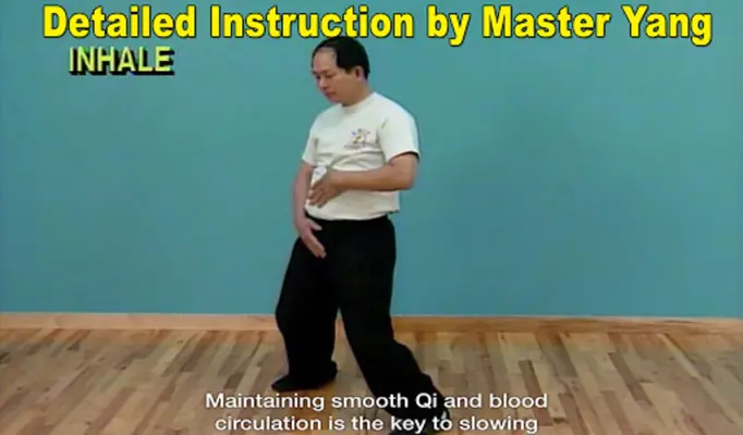 Qigong Massage for Partners android App screenshot 11